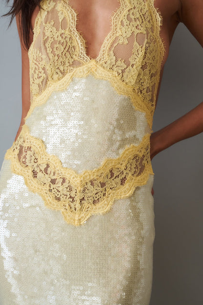 Vicky Sequin Lace Dress