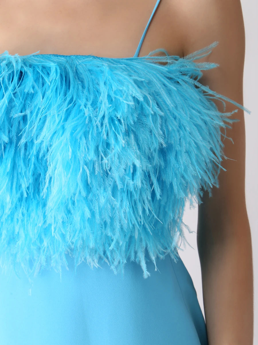 Feather Top Mini