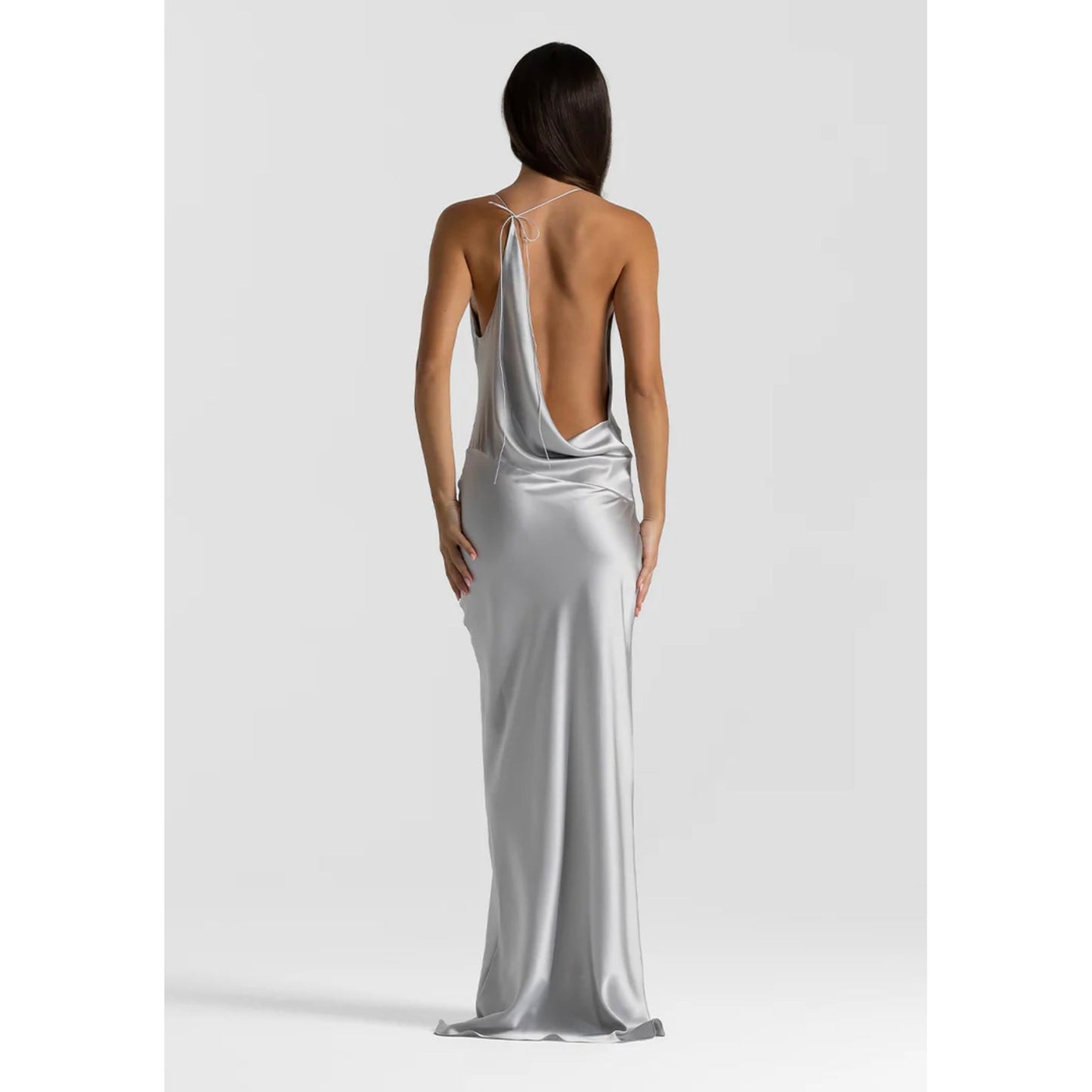 Gabi Silver Gown
