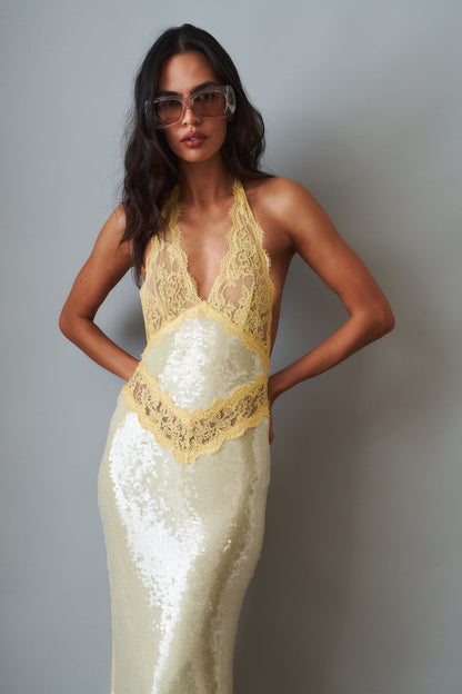 Vicky Sequin Lace Dress