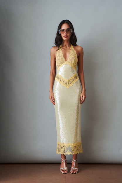 Vicky Sequin Lace Dress