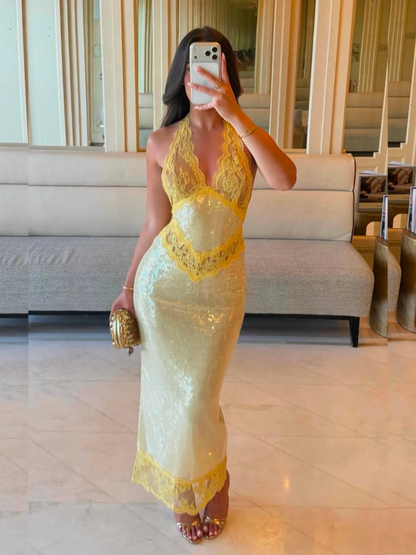 Vicky Sequin Lace Dress